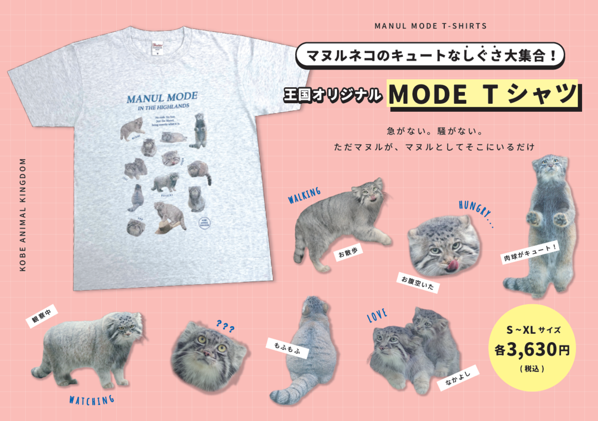 MODE Tシャツ マヌルネコ | 神戸どうぶつ王国NS